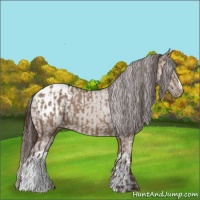 Horse Color:Liver Red Dun Appaloosa  and Liver Red Dun Appaloosa 