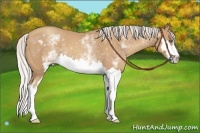 Horse Color:White Spotted Silver Classic Champagne Splash Frame