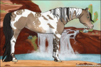 Horse Color:Gray Amber Champagne Tobiano Appaloosa