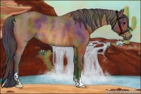 Horse Color:Nacre Bay Rabicano 