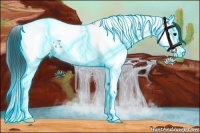 Horse Color:Thunderstruck Black Splash Tobiano Appaloosa 