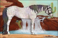 Horse Color:Nacre Bay Ice Roan Sabino 