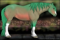 Horse Color:Watercolor Bay 