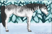 Horse Color:White Spotted Black  and White Spotted Black 