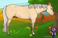 Horse Color:Silver Buckskin Dun Sabino 