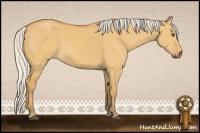 Horse Color:Silver Buckskin Dun Sabino 