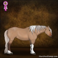 Horse Color:Silver Bay Dun Tobiano 