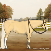 Horse Color:Palomino  and Palomino 