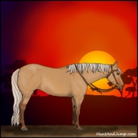 Horse Color:Silver Buckskin Dun 