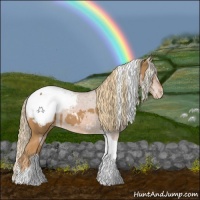 Horse Color:Chestnut Tobiano Appaloosa  and Chestnut Tobiano Appaloosa 