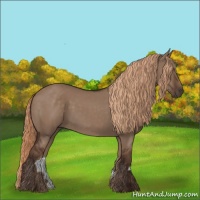 Horse Color:Liver Red Dun 