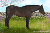 Horse Color:Gray Brown 