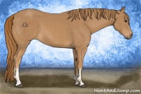 Horse Color:Chestnut  and Chestnut 
