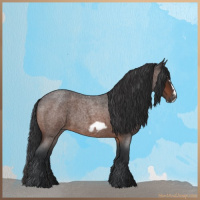 Horse Color:Brown Roan Splash Frame Rabicano