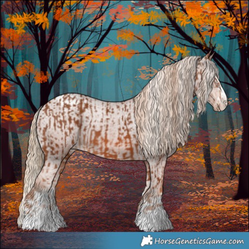 Horse Color:Chestnut  and Chestnut Appaloosa 