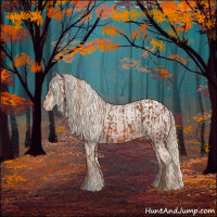 Horse Color:Chestnut  and Chestnut Appaloosa 