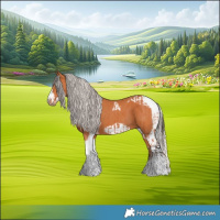 Horse Color:Bay Tobiano Frame  and Silver Bay Tobiano Frame 