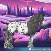 Horse Color:Black Splash Appaloosa  and Black Splash Appaloosa 
