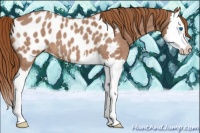 Horse Color:Red Roan Splash Near Leopard 