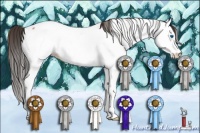 Horse Color:Bay Roan Splash Appaloosa Rabicano