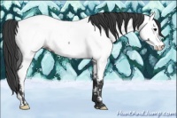 Horse Color:Blue Roan Fewspot Rabicano 
