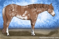 Horse Color:White Spotted Chestnut Frame  and White Spotted Chestnut Frame 