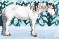 Horse Color:White Spotted Bay Splash Tobiano Rabicano 