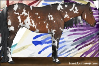 Horse Color:White Spotted Brown Sabino