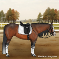 Horse Color:Bay  and Bay Splash 