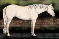 Horse Color:Gold Champagne Dun 