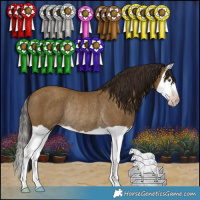 Horse Color:Gray Classic Cream Champagne Splash Rabicano 