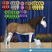 Horse Color:Gray Classic Cream Champagne Splash Rabicano 