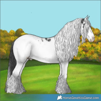 Horse Color:Black Ice Splash Tobiano 