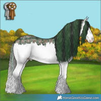 Horse Color:Plaid  Smoky Black Ice Splash 