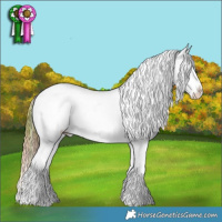 Horse Color:Plaid Bay Ice Dun Splash Tobiano Appaloosa