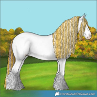 Horse Color:Painted Brown Ice Sabino Splash Tobiano Appaloosa Rabicano 