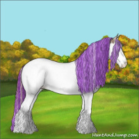 Horse Color:Painted Chestnut Ice Splash Tobiano Appaloosa 