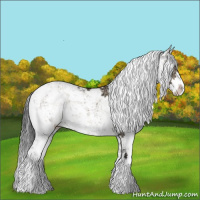 Horse Color:Brown Ice Dun Sabino 