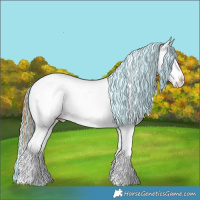 Horse Color:Painted Bay Ice Dun Splash Appaloosa 