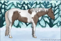 Horse Color:Silver Black Tobiano 