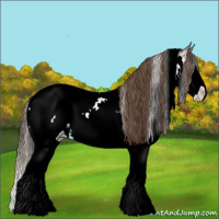 Horse Color:White Spotted Bay Ice Sabino Splash Appaloosa