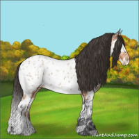 Horse Color:Bay Ice Sabino Splash Near Leopard 