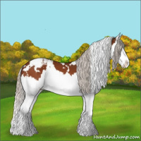 Horse Color:White Spotted Silver Bay Splash Varnish 