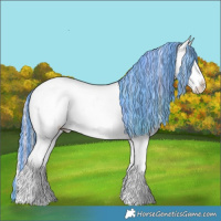 Horse Color:Painted Nacre Palomino Ice Splash Appaloosa 