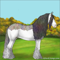 Horse Color:Nacre Grullo Ice Splash 