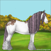 Horse Color:Painted Bay Ice Sabino Splash 