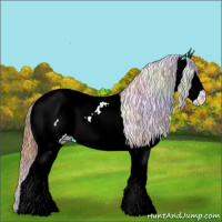 Horse Color:Nacre Chestnut Ice Sabino Splash Tobiano Near Fewspot 