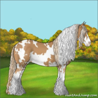 Horse Color:White Spotted Chestnut Sabino Varnish 