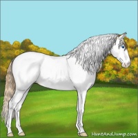 Horse Color:Chestnut Ice Splash Tobiano Blanket 
