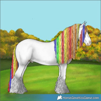 Horse Color:Painted Chestnut Ice Splash Appaloosa
